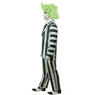 Beetlejuice Adult Costume