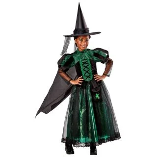 Wicked Witch Deluxe Kids Costume