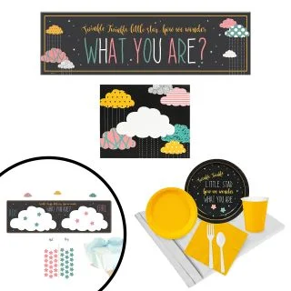 Twinkle Twinkle How We Wonder Gender Reveal All Inclusive Party Kit
