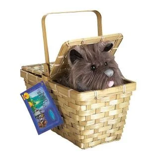 Deluxe Toto Basket