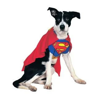 Superman Dog Costume