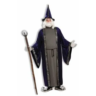 Men's Plus Size Wizard Costume