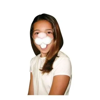 Rabbit Nose and Teeth