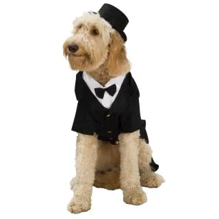 Dapper Dog Costume