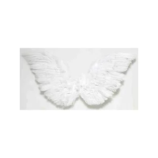 Heavenly Feathered Angel Wings