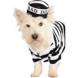 Prisoner Dog Pet Costume