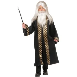 Wizard Wig and Beard