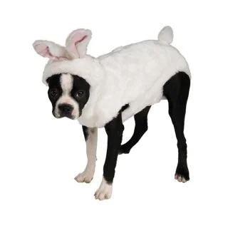 Bunny Pet Costume