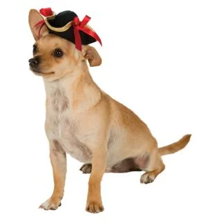 Pirate Dog Hat