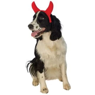 Devil Horns Pet Headpiece