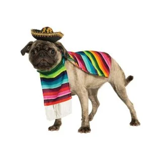 Poncho And Sombrero Mexican Dog Costume