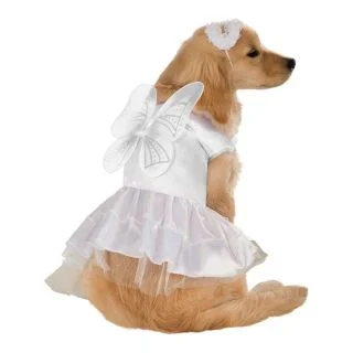 Angel Dog Costume