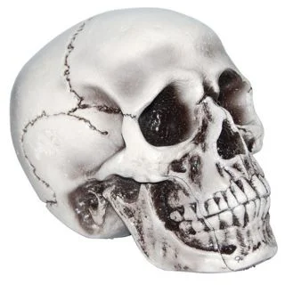 6 " Foam Skull