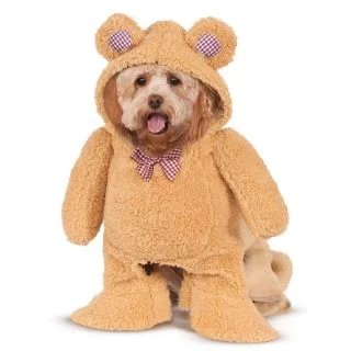 Walking Teddy Bear Pet Costume