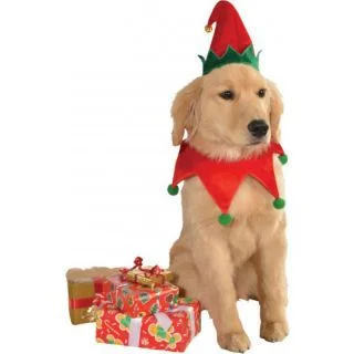 Elf Hat and Collar Pet Costume M/L