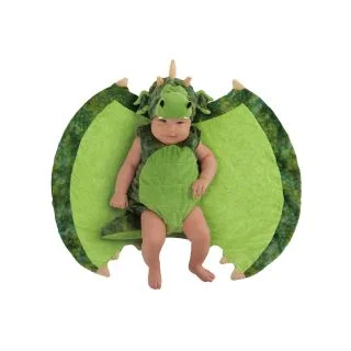 Swaddle Wings Darling Dragon Infant Costume