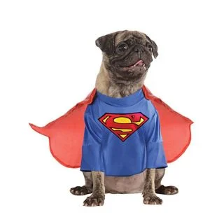 Canine Superman Costume