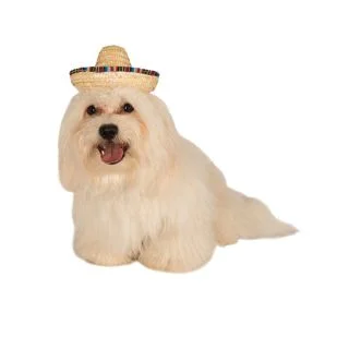 Sombrero Multicolored for Pets