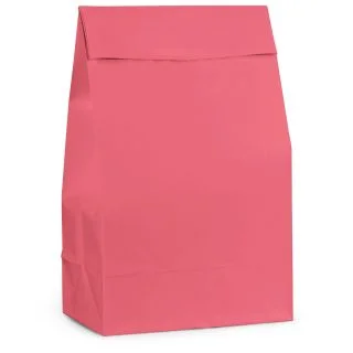 Pink Paper Favor Bags (12 Pack)
