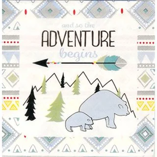 Tribal Boy Luncheon Napkins (16)