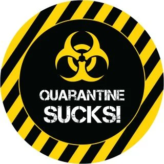 Quarantine Party Mini Stickers (24)