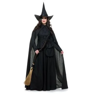 Womens Wicked Witch Costume