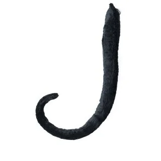 Long Cat Tail