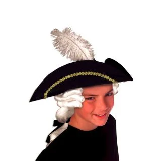Colonial Boy Hat and Wig