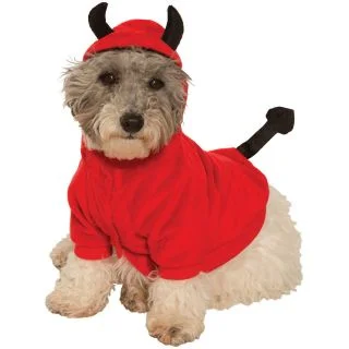 Devil Hoodie Costume For Pets