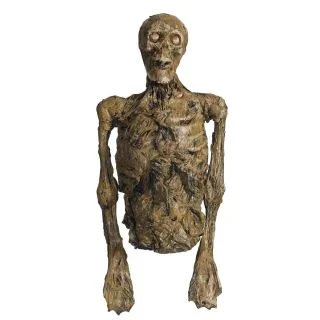 Rotten Skeleton Torso - Large Decoration