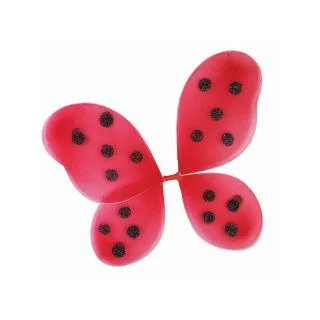 Kids Ladybug Value Wings