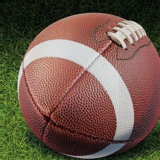 Football Lunch Napkin (16)