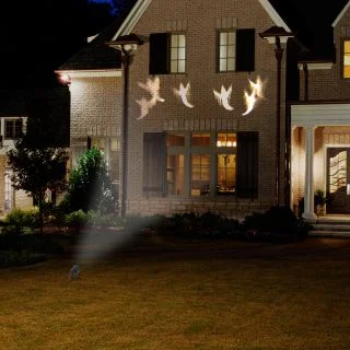 Chasing Ghosts Lightshow Projector