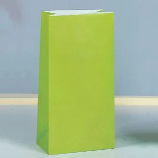 Kiwi Paper Favor Bags (12 Pack)