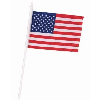 Patriotic Flag