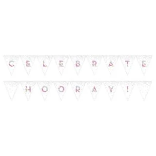 Iridescent Celebrate Pennant Banner