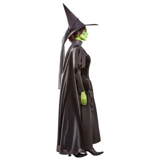 Wicked Witch Deluxe Adult Costume