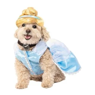 Cinderella Pet Costume