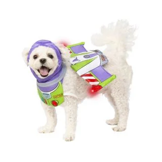 Buzz Lightyear Pet Accessory Set