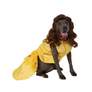 Big Dogs Beauty and the Beast Belle Costume