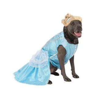 Pet Big Dogs Cinderella Costume