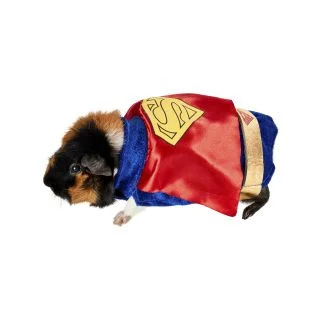 Superman Small Pet Costume