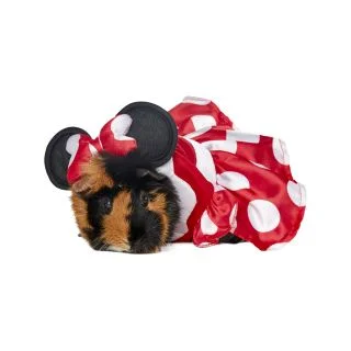 Minnie Mouse Costume for Pets