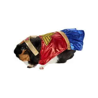 Wonder Woman Small Pet Costume