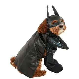 The Batman: Batman Pet Costume