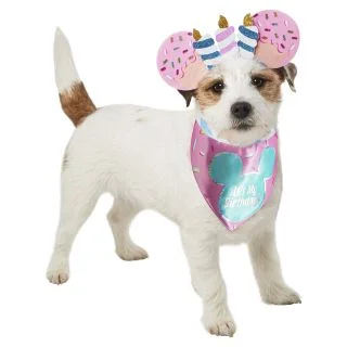 Mickey Mouse Birthday Pet Accessory