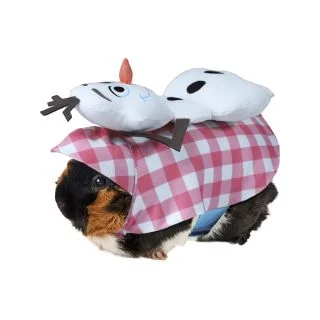 Frozen: Olaf Pet Costume