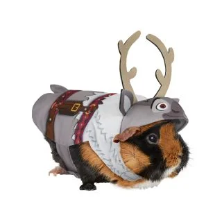 Frozen: Sven Pet Costume