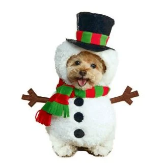 Snowman Pet Costume