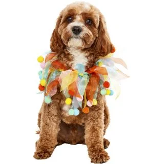 Pom Party Collar Pet Accessory